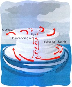 NCERT 7th Class (CBSE) Science: Winds, Storms and Cyclones – Page 2 ...