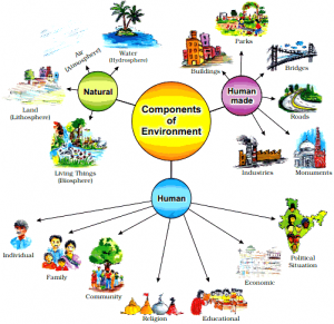 Environment: NCERT 7 Class (CBSE) Social Science Ch 01 – Class Notes