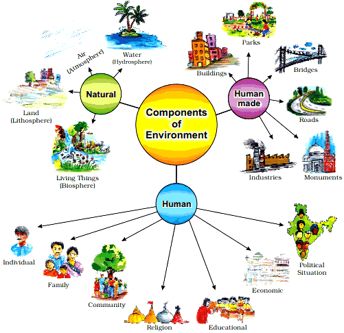 Environment NCERT 7 Class CBSE Social Science Ch 01 Class Notes