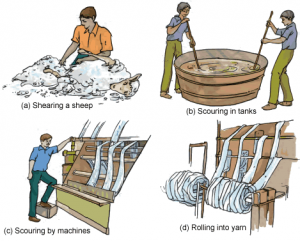 Fibre to Fabric: 7th Class NCERT CBSE Science Chapter 03 – Class Notes