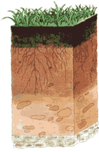 Soil: NCERT 7th Class (CBSE) Science Chapter 09 - Class Notes