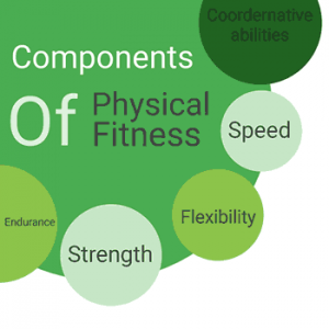 Physical Fitness, Wellness & Lifestyle: 11 Class - Chapter 3 - Class Notes