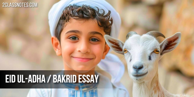 Eid ul-Adha / Bakrid: 2 Long & Short English Essay for School Children