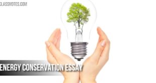 Energy Conservation Essay in English for Students and Children